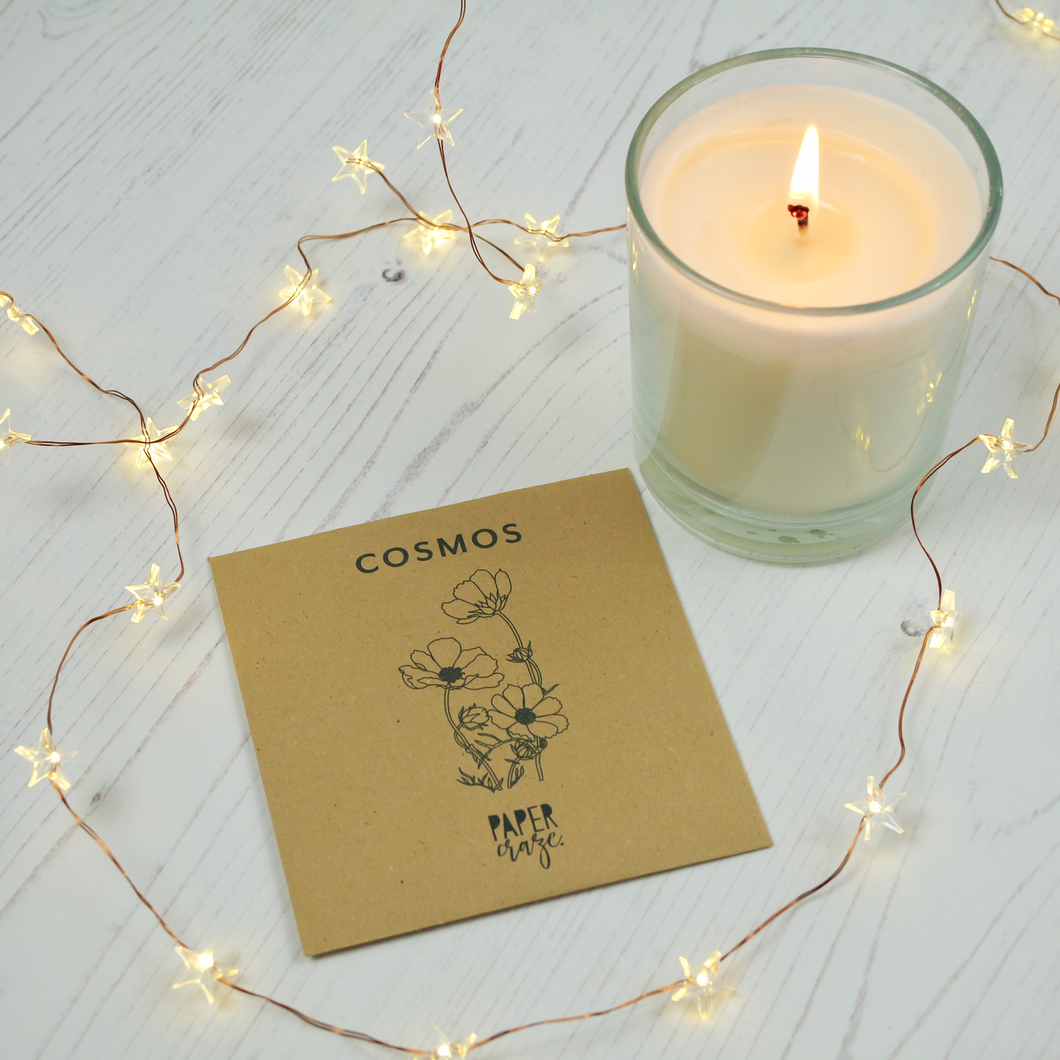 Cosmos Seed Packet