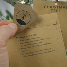 Load image into Gallery viewer, Christmas Tree Seed Packet
